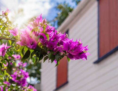 Vender en marzo: Por qué la primavera es el «Prime Time» inmobiliario en Sevilla